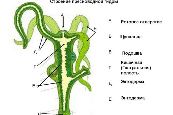 Ссылки в тор