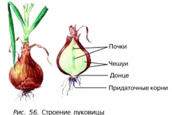 Что продает маркетплейс кракен